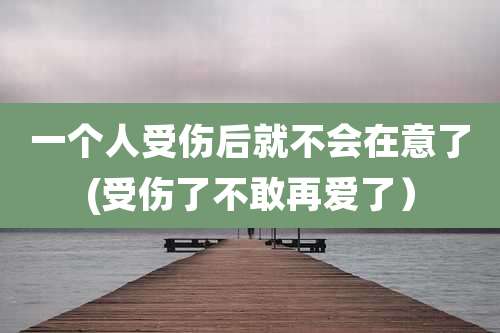 一个人受伤后就不会在意了(受伤了不敢再爱了）