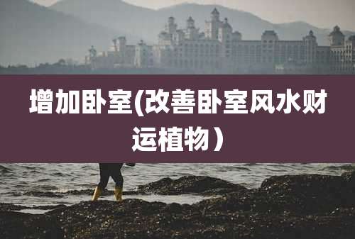 增加卧室(改善卧室风水财运植物）