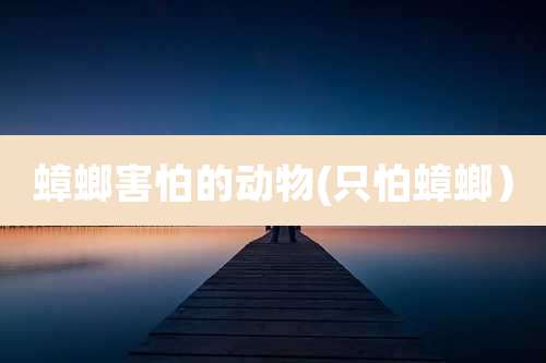 蟑螂害怕的动物(只怕蟑螂）