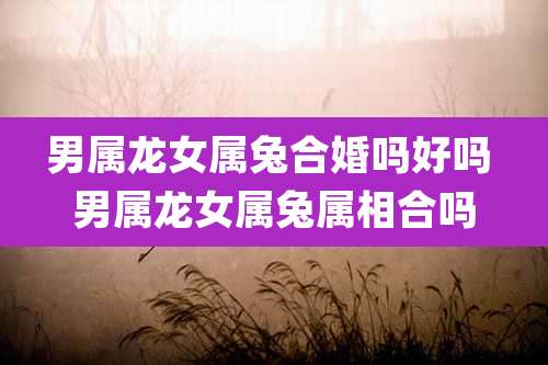 男属龙女属兔合婚吗好吗 男属龙女属兔属相合吗