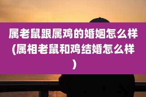 属老鼠跟属鸡的婚姻怎么样(属相老鼠和鸡结婚怎么样)