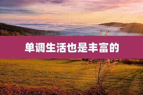 单调生活也是丰富的