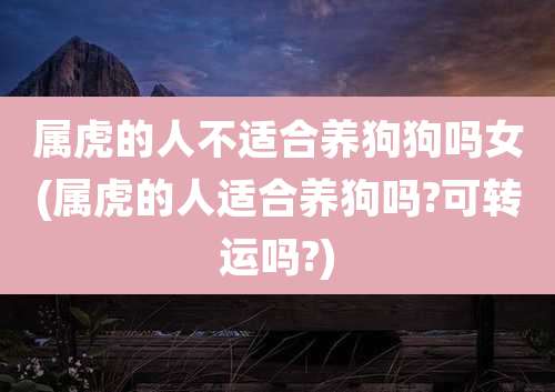 属虎的人不适合养狗狗吗女(属虎的人适合养狗吗?可转运吗?)