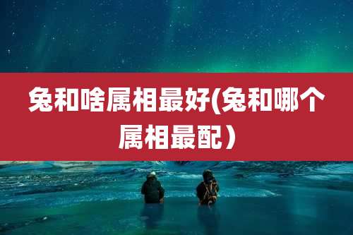 兔和啥属相最好(兔和哪个属相最配)