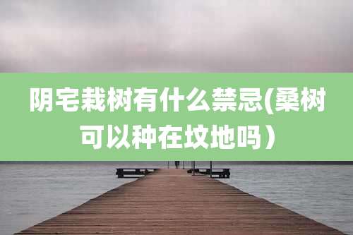 阴宅栽树有什么禁忌(桑树可以种在坟地吗)