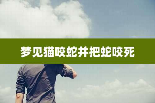 梦见猫咬蛇并把蛇咬死