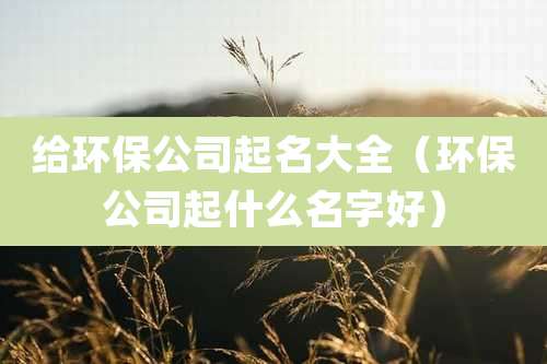 给环保公司起名大全(环保公司起什么名字好)