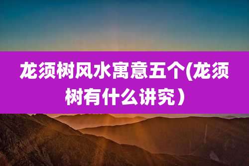 龙须树风水寓意五个(龙须树有什么讲究）