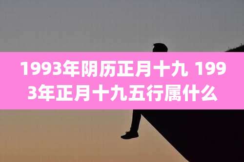 1993年阴历正月十九 1993年正月十九五行属什么