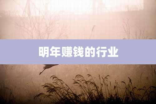 明年赚钱的行业