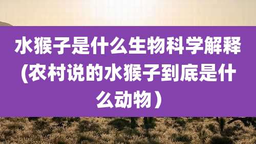 水猴子是什么生物科学解释(农村说的水猴子到底是什么动物)