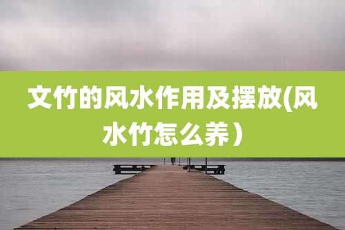 文竹的风水作用及摆放(风水竹怎么养)