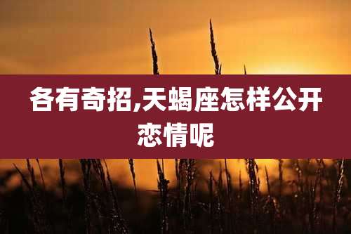 各有奇招,天蝎座怎样公开恋情呢