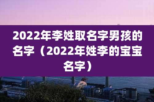 2022年李姓取名字男孩的名字（2022年姓李的宝宝名字）