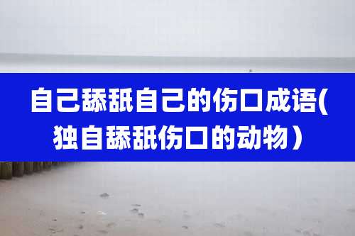 自己舔舐自己的伤口成语(独自舔舐伤口的动物）