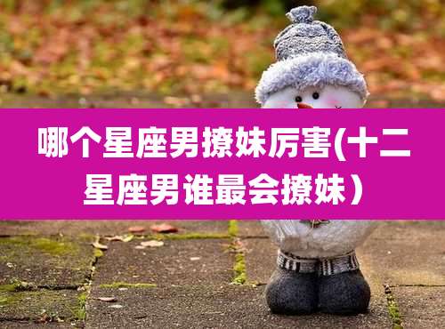 哪个星座男撩妹厉害(十二星座男谁最会撩妹）