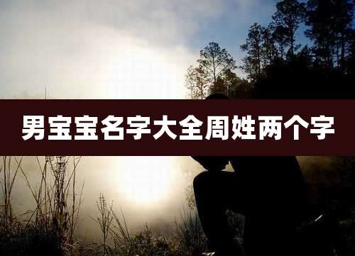 男宝宝名字大全周姓两个字