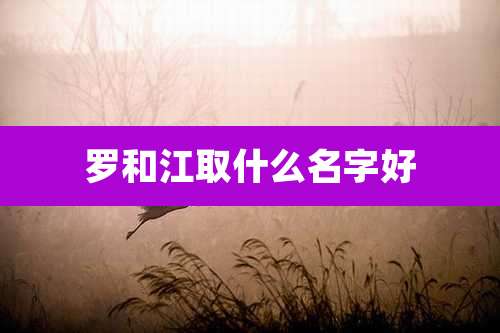 罗和江取什么名字好