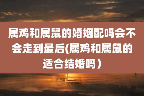 属鸡和属鼠的婚姻配吗会不会走到最后(属鸡和属鼠的适合结婚吗)