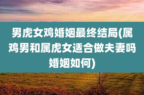 男虎女鸡婚姻最终结局(属鸡男和属虎女适合做夫妻吗婚姻如何)
