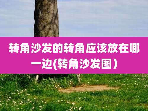 转角沙发的转角应该放在哪一边(转角沙发图）