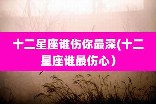 十二星座谁伤你最深(十二星座谁最伤心)