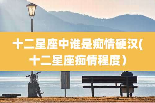 十二星座中谁是痴情硬汉(十二星座痴情程度)