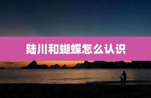陆川和蝴蝶怎么认识