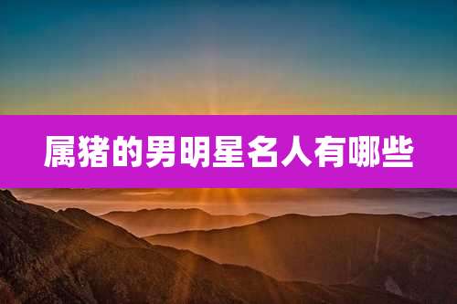 属猪的男明星名人有哪些