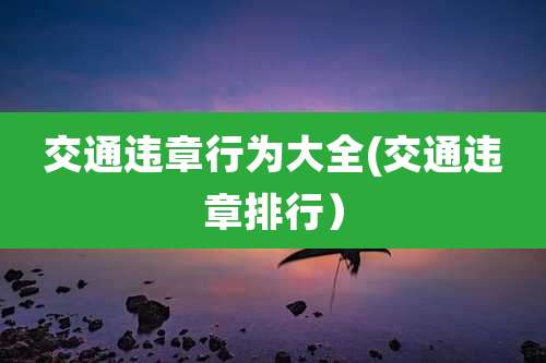 交通违章行为大全(交通违章排行)
