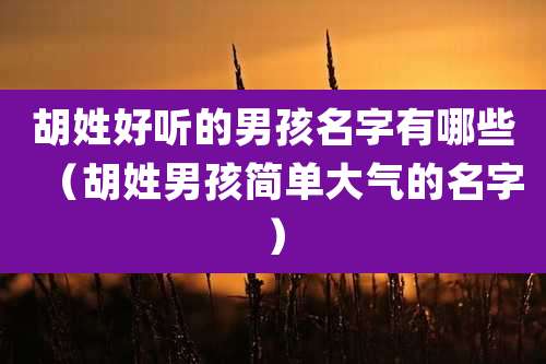 胡姓好听的男孩名字有哪些（胡姓男孩简单大气的名字）