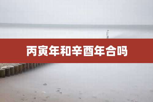 丙寅年和辛酉年合吗