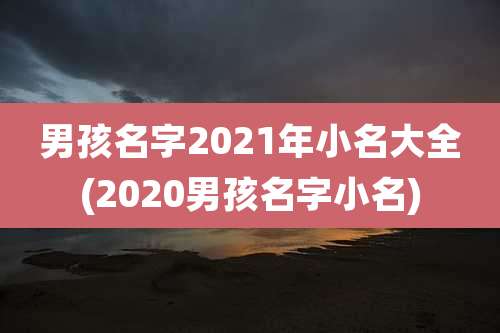男孩名字2021年小名大全(2020男孩名字小名)