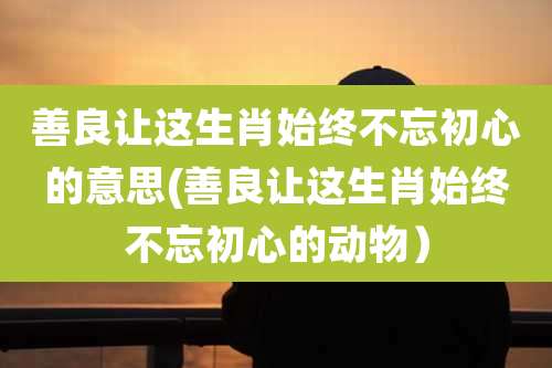 善良让这生肖始终不忘初心的意思(善良让这生肖始终不忘初心的动物）