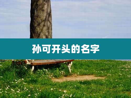 孙可开头的名字