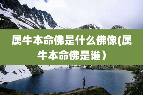 属牛本命佛是什么佛像(属牛本命佛是谁）