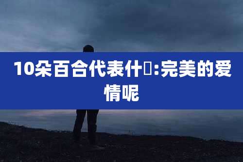 10朵百合代表什麼:完美的爱情呢