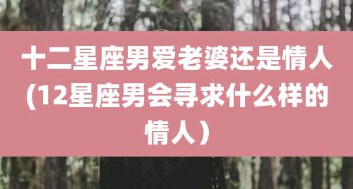 十二星座男爱老婆还是情人(12星座男会寻求什么样的情人）