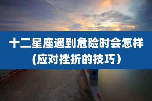 十二星座遇到危险时会怎样(应对挫折的技巧)