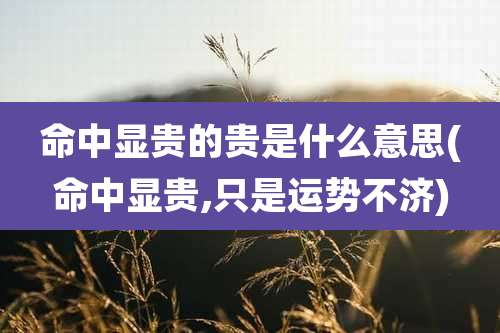 命中显贵的贵是什么意思(命中显贵,只是运势不济)