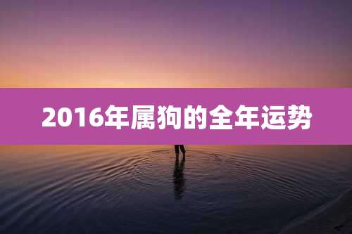 2016年属狗的全年运势