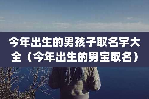 今年出生的男孩子取名字大全（今年出生的男宝取名）