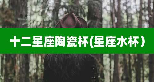 十二星座陶瓷杯(星座水杯）