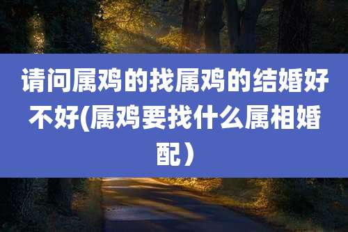 请问属鸡的找属鸡的结婚好不好(属鸡要找什么属相婚配)