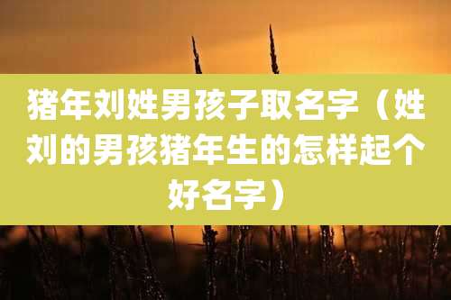 猪年刘姓男孩子取名字(姓刘的男孩猪年生的怎样起个好名字)