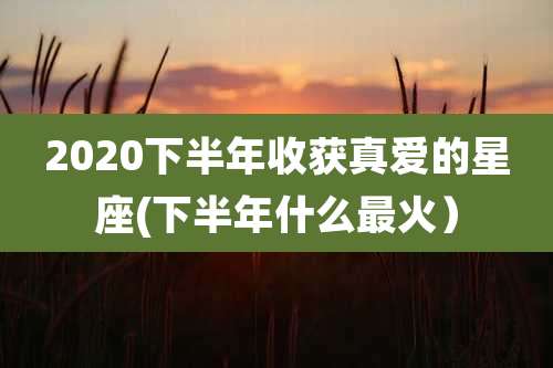 2020下半年收获真爱的星座(下半年什么最火)