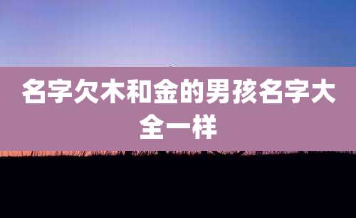 名字欠木和金的男孩名字大全一样