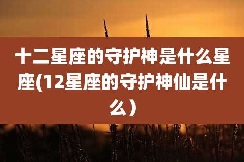 十二星座的守护神是什么星座(12星座的守护神仙是什么)