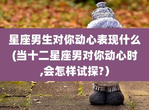 星座男生对你动心表现什么(当十二星座男对你动心时,会怎样试探?)