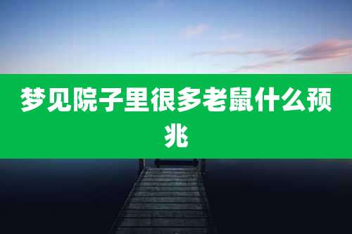 梦见院子里很多老鼠什么预兆